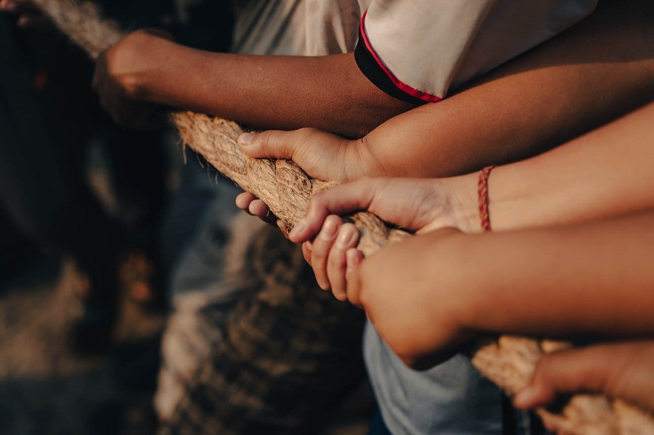 hands, nature, friendship-8721585.jpg